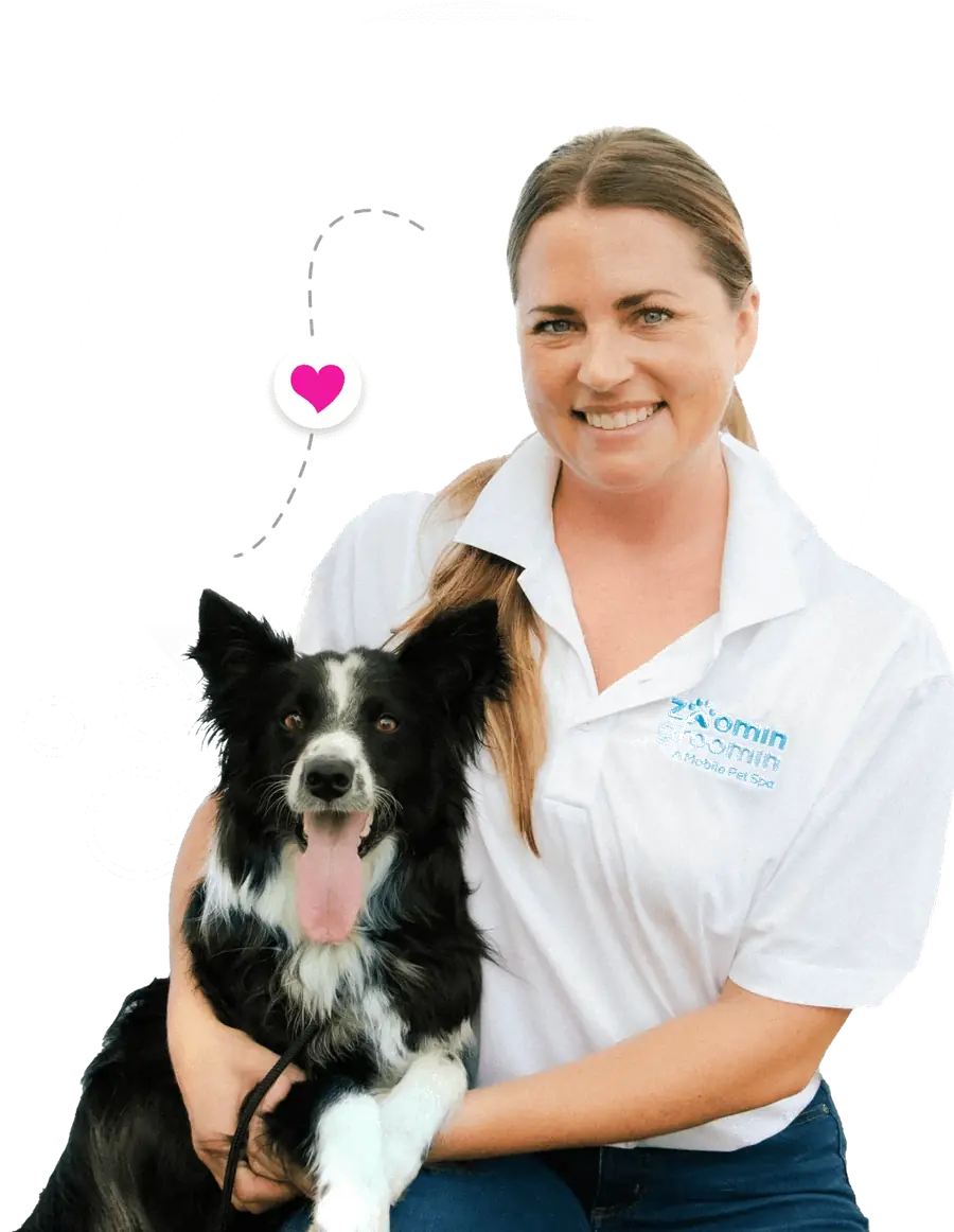Smiling Zoomin Groomin groomer in branded polo with a happy border collie